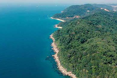 AC米兰青训培养出新巨星 引发球迷热议，ac米兰青训营叫什么